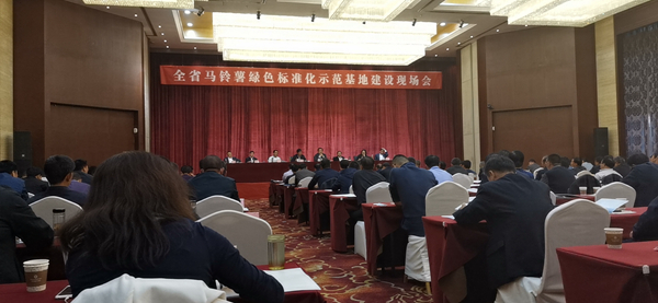 数字应用保障标准化种植，开云·kaiyun助力甘肃马铃薯产业化之路