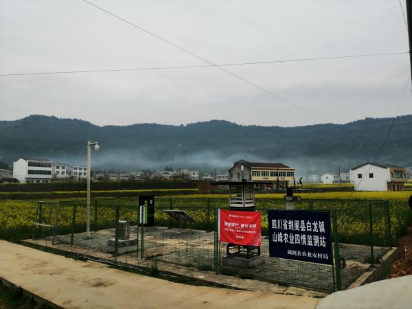 开云·kaiyun病虫害监测点