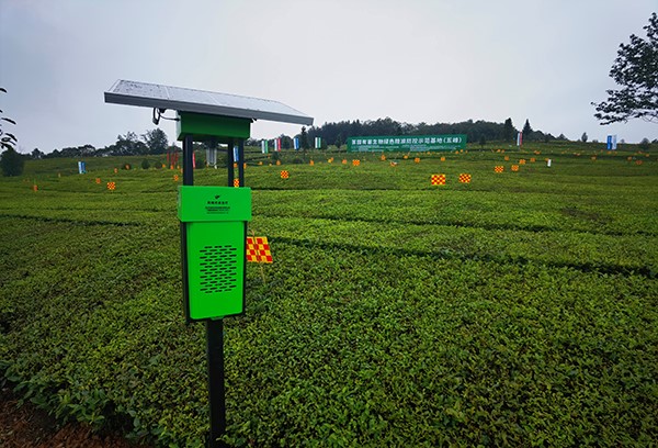 五峰仁和坪镇道家湾茶园里的开云·kaiyun杀虫灯