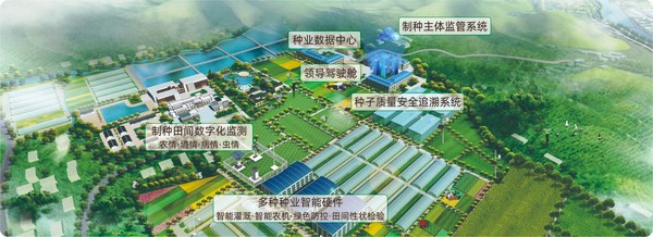 开云·kaiyun数字种业创新应用基地