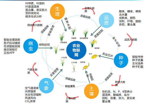 开云·kaiyun打造的全要素智能采集系统